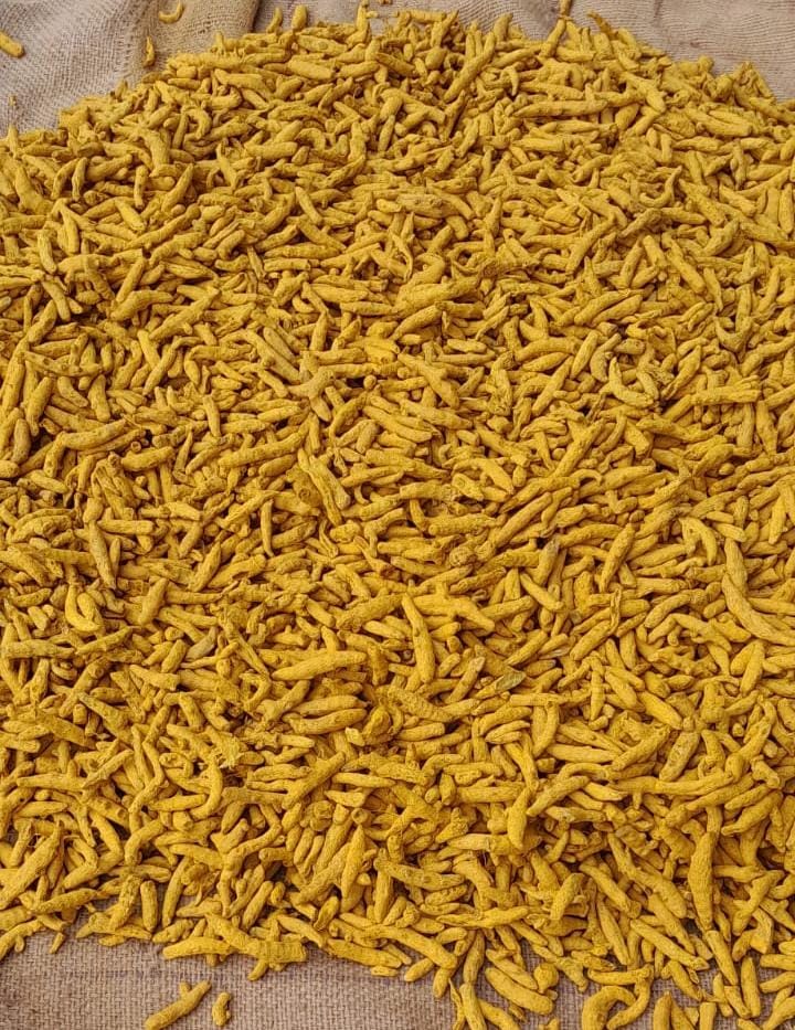 Cumin